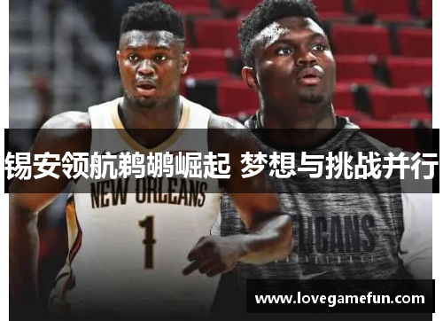 锡安领航鹈鹕崛起 梦想与挑战并行