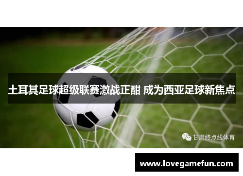 土耳其足球超级联赛激战正酣 成为西亚足球新焦点
