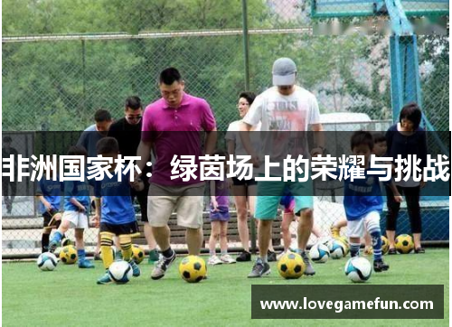 非洲国家杯：绿茵场上的荣耀与挑战